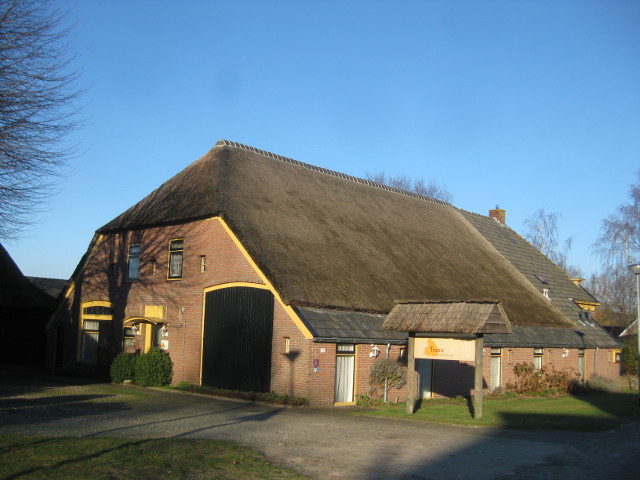 buinen3746