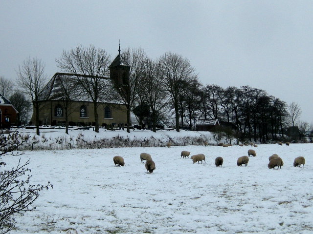 dorkwerd3860