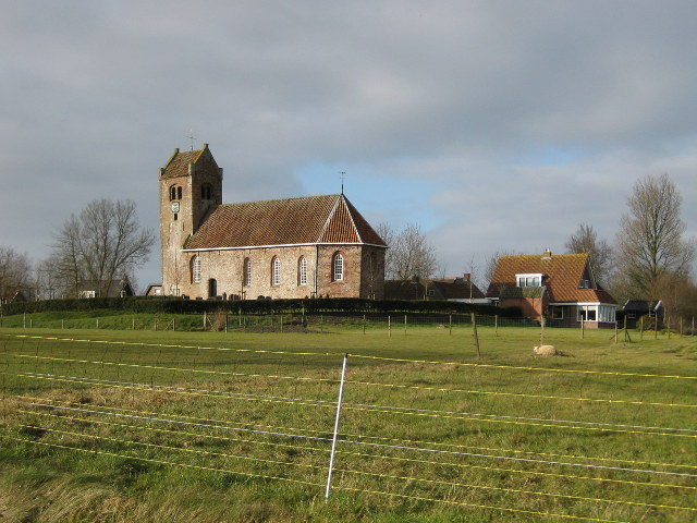 ginnum050