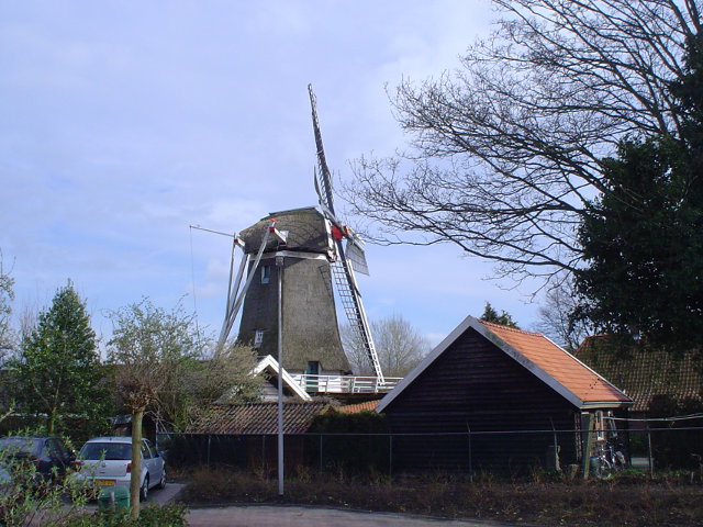 ommenDSC03957