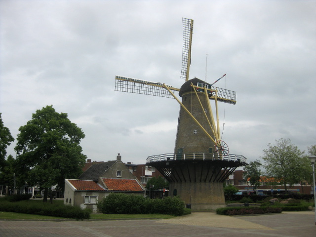 IMG_8406rozenburg