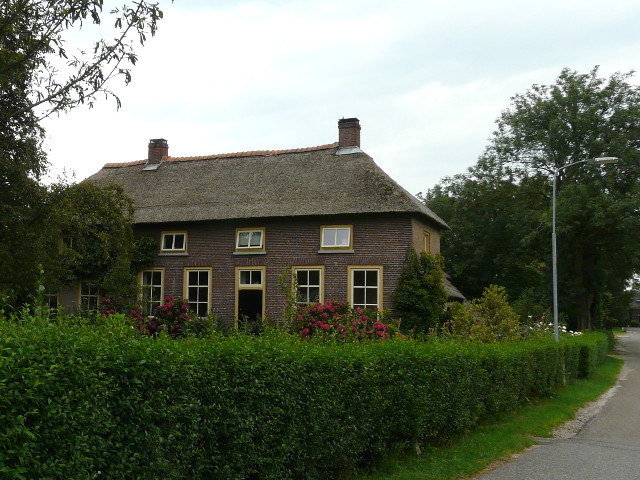 P1080283nieuwaal