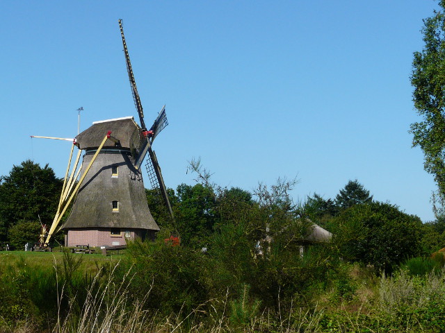 P1080371wapenveld