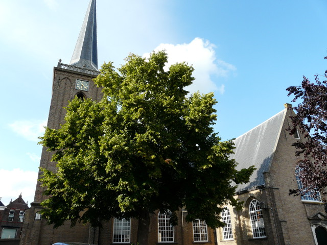 P1090553ouderkerkadijssel