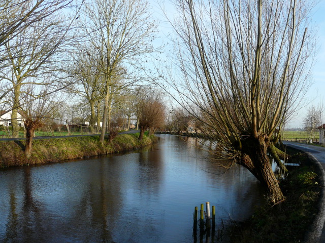 P1120527snelrewaard
