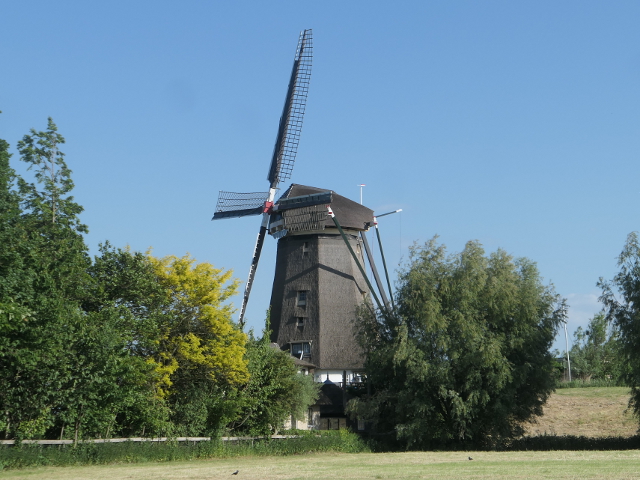 P1370351rijnsaterwoude_z
