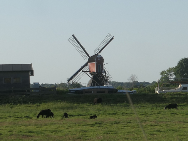 P1370378warmond_z