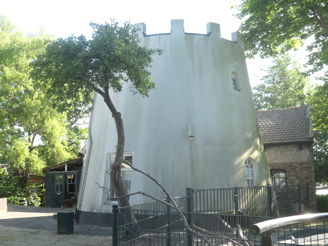 P1370382denhoorn_z
