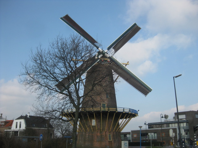 maassluis3989
