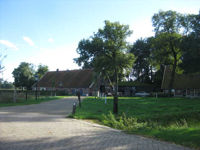 stepelo2905