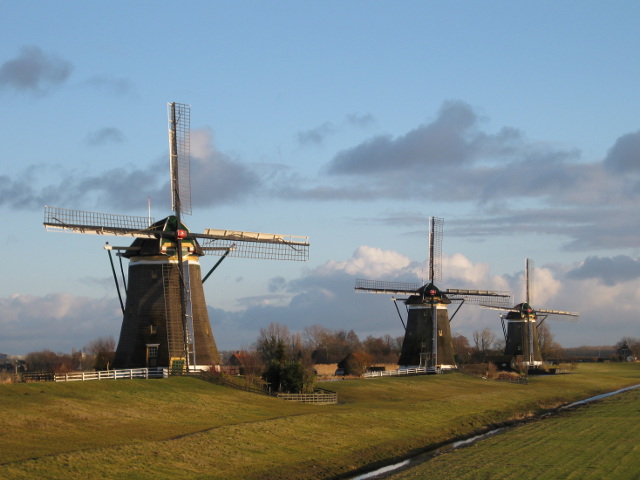 wilsveen003
