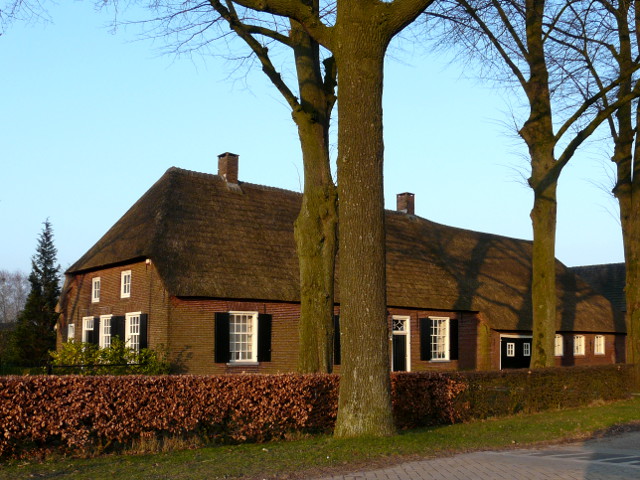 P1130181biezenmortel