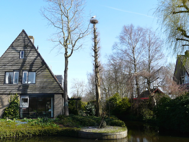 P1140359ankeveen