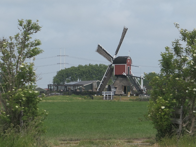 P1370391hoogmade_z