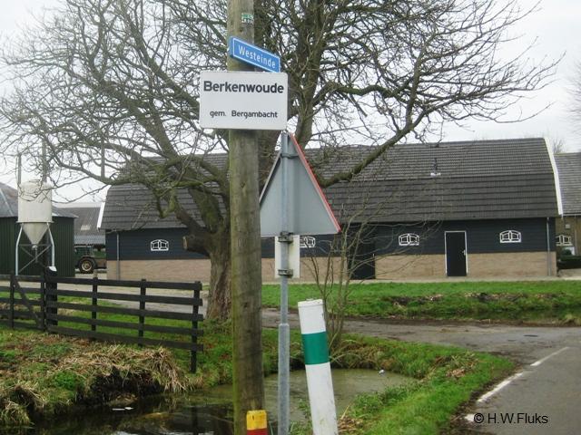 berkenwoudewit7047