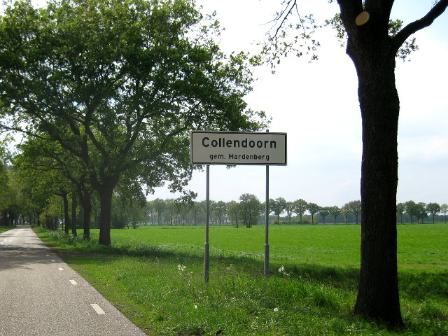 collendoorn053