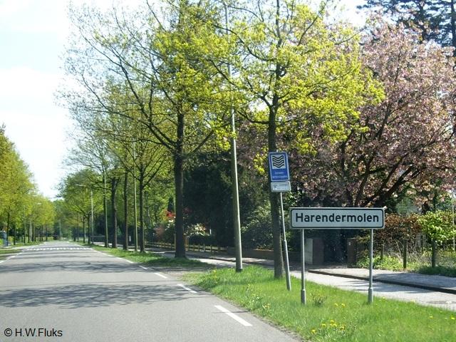 harendermolenIMGP4606