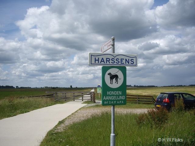 harssensIMGP6184
