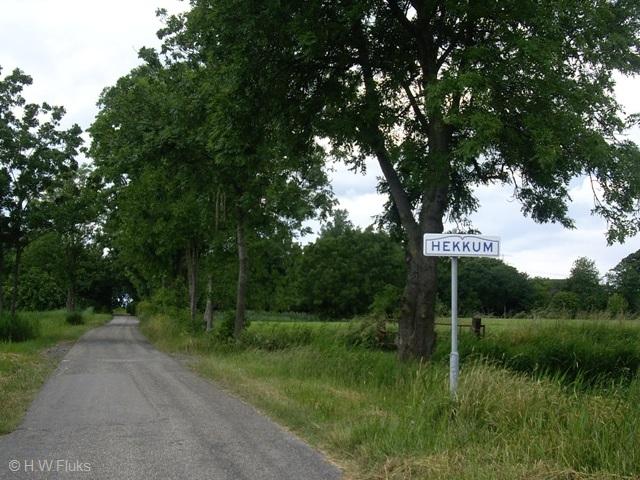 hekkumIMGP6187