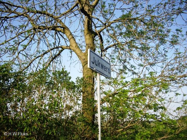 jukwerdIMGP4934