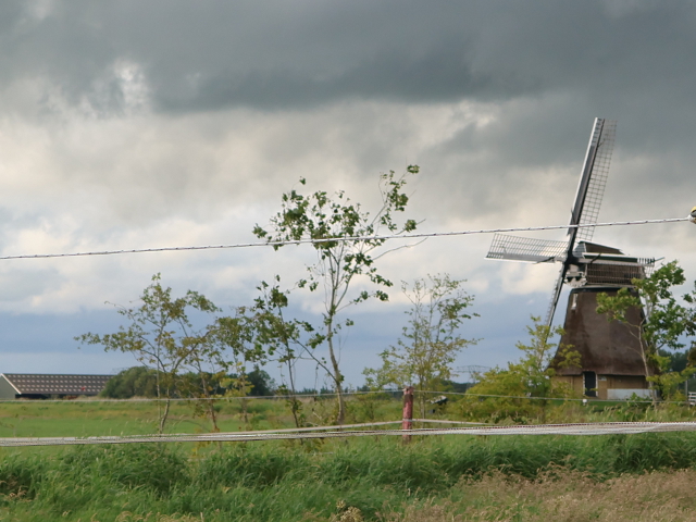 P1370787vegelinsoord_z
