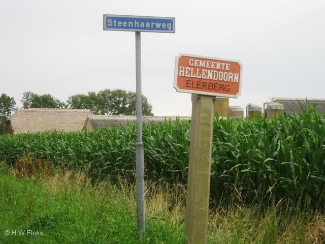 elerberg3832