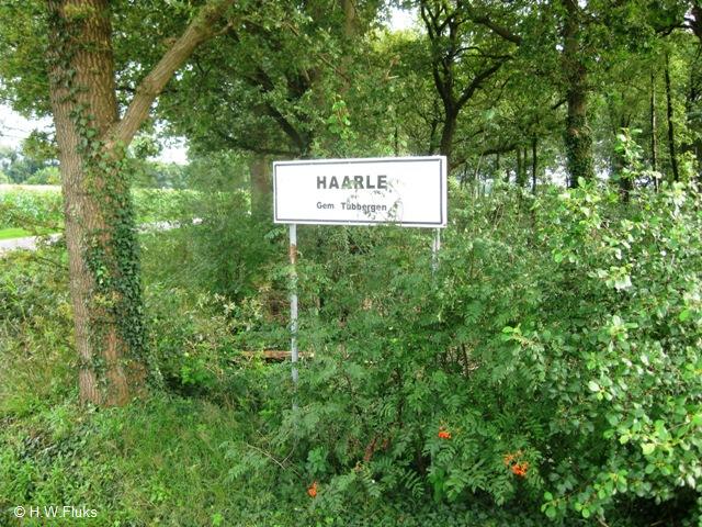 haarle3885