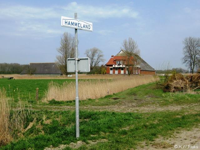 hammeland014