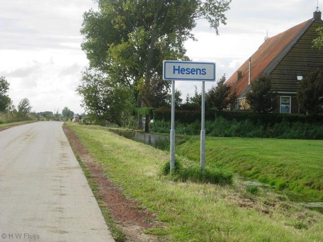 hesens4317