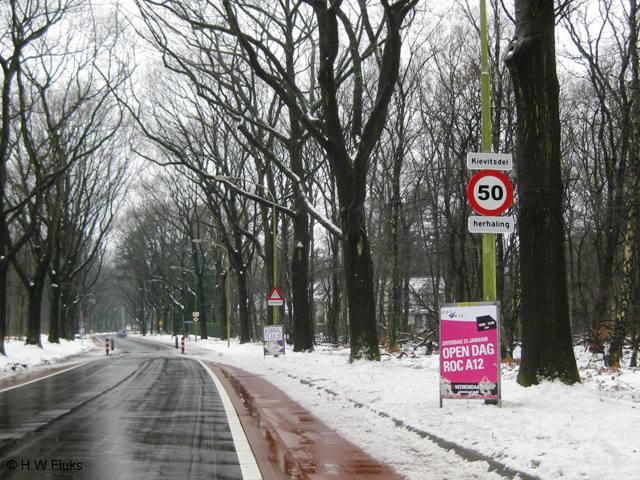 kievitsdel5952