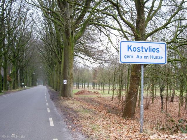 kostvliesIMGP1183