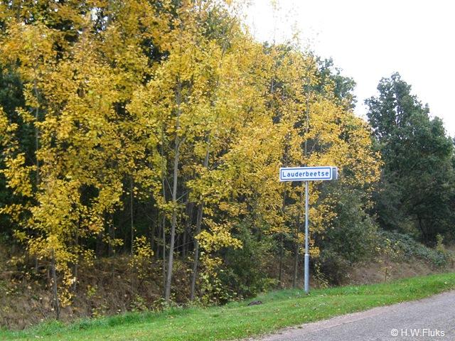 lauderbeetse5057
