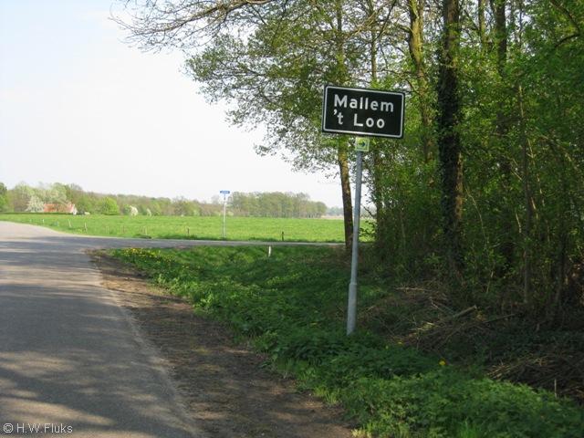 mallemtloo036