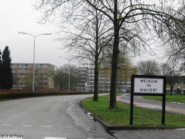 malvert5989