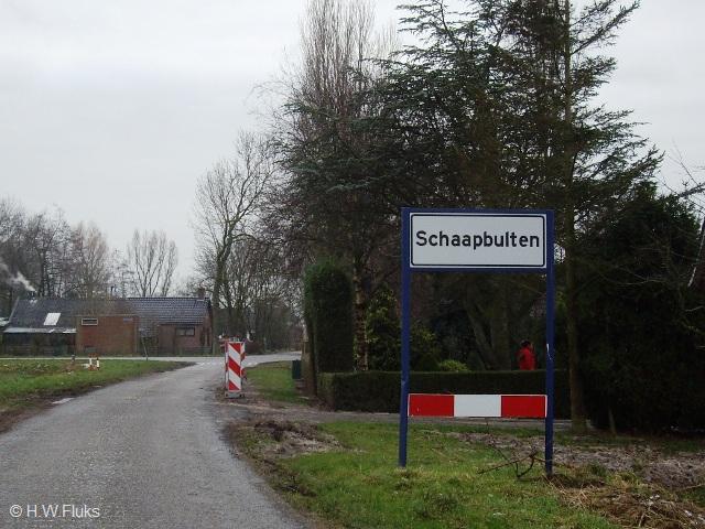 schaapbultenIMGP0900
