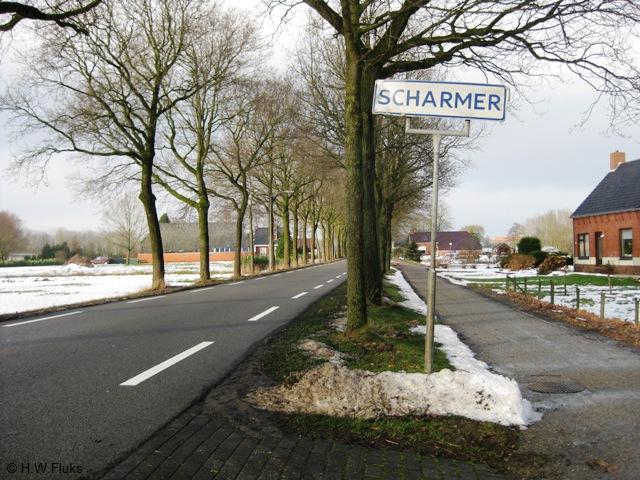 scharmerwit5604