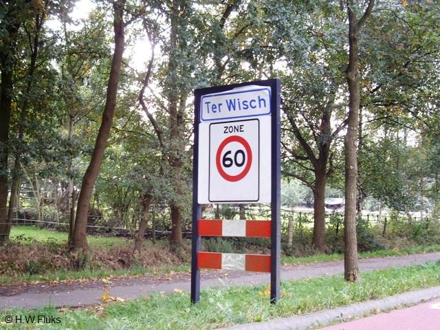terwischIMGP9740