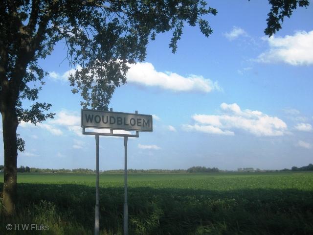 woudbloemwit4383