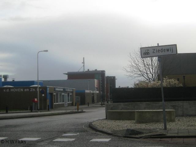 ziedewij7156