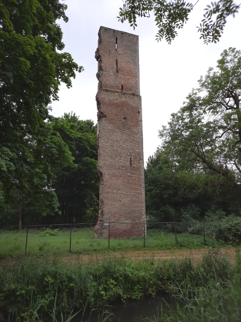 20250614_110737oosterhout_z