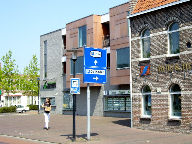 IMGP0312pringdrachten