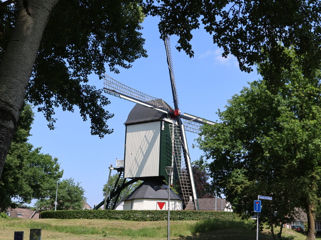 IMG_1005rosmalen_z