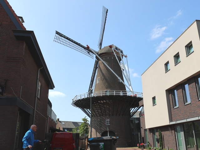IMG_1014oss_z