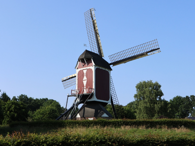 IMG_1043asten_z
