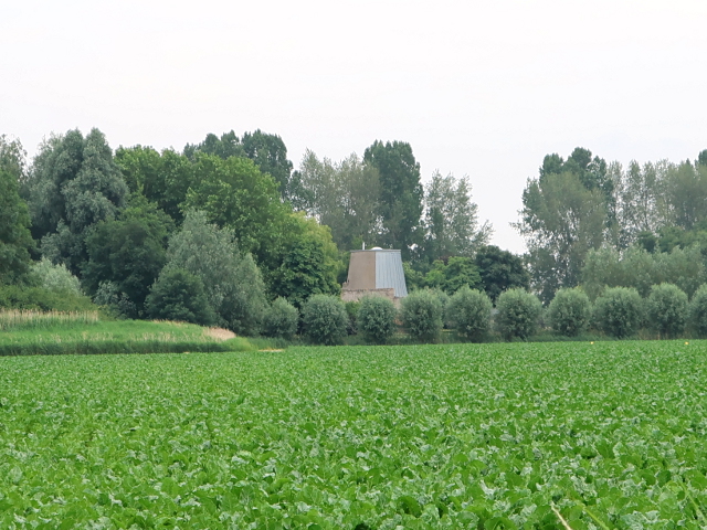IMG_1100hoeven_z