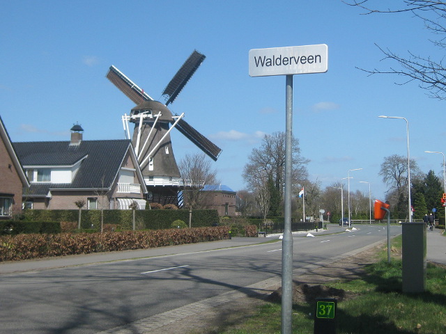 IMG_6188walderveen