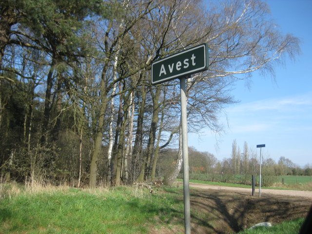 IMG_6258avest