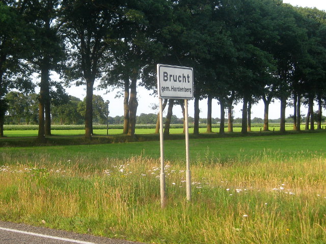 IMG_9600brucht