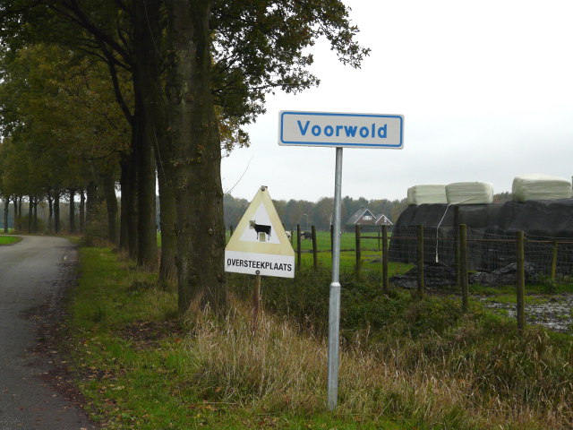 P1010288voorwold