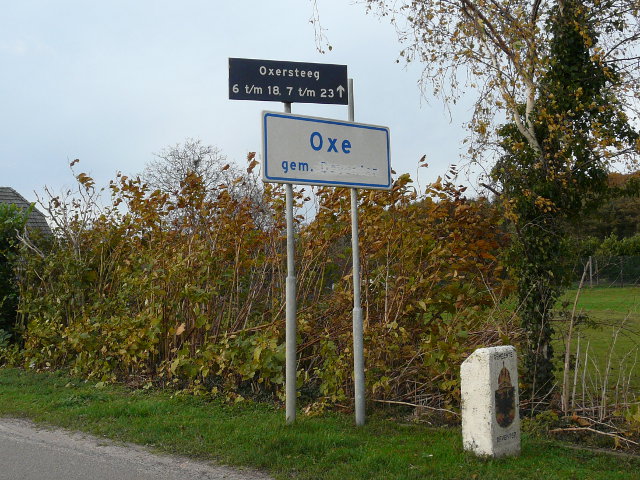 P1010396oxe